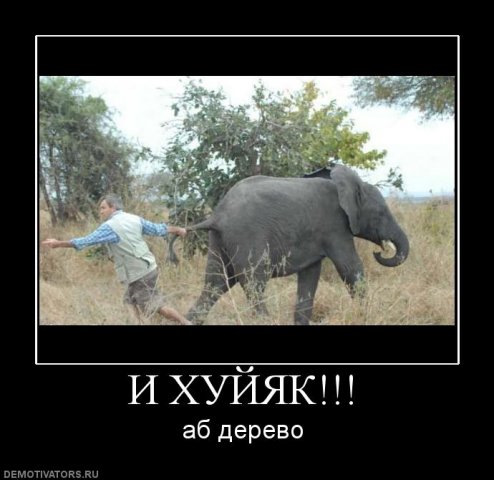 Пропади оно все