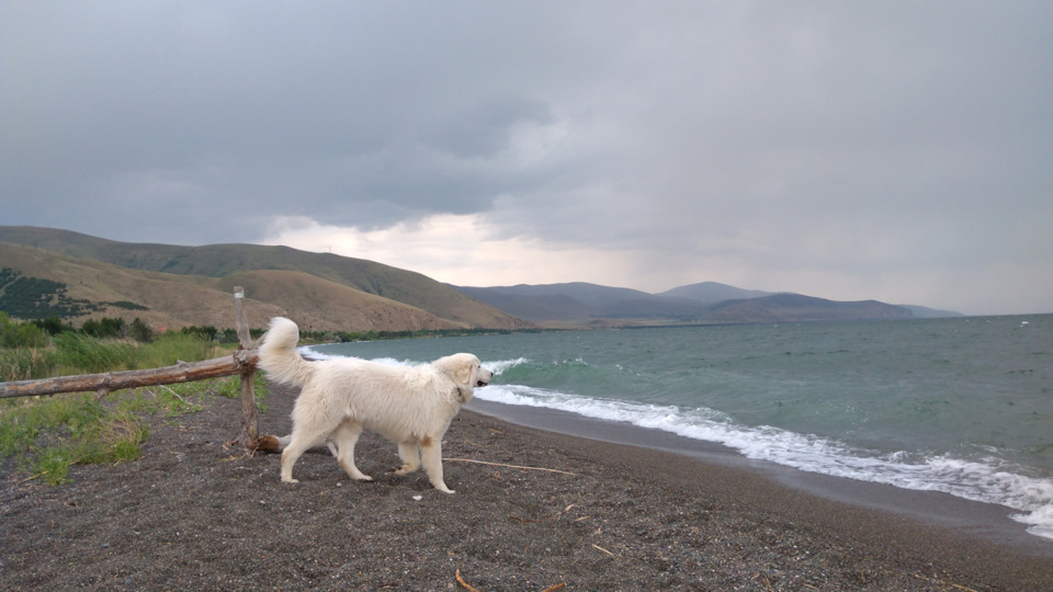 Севан. Я бы сказал, что отдых тут гораздо приятнее многолюдных черноморских пляжей — Mitsubishi Pajero Sport (2G)