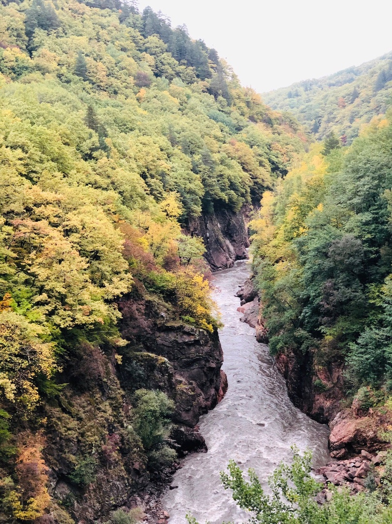 Хамышки адыгея отдых фото