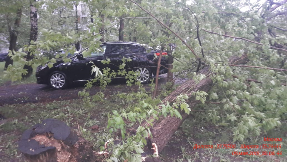703141410 Прокладка, крышка головки цилиндра REINZOSIL VICTOR REINZ ...