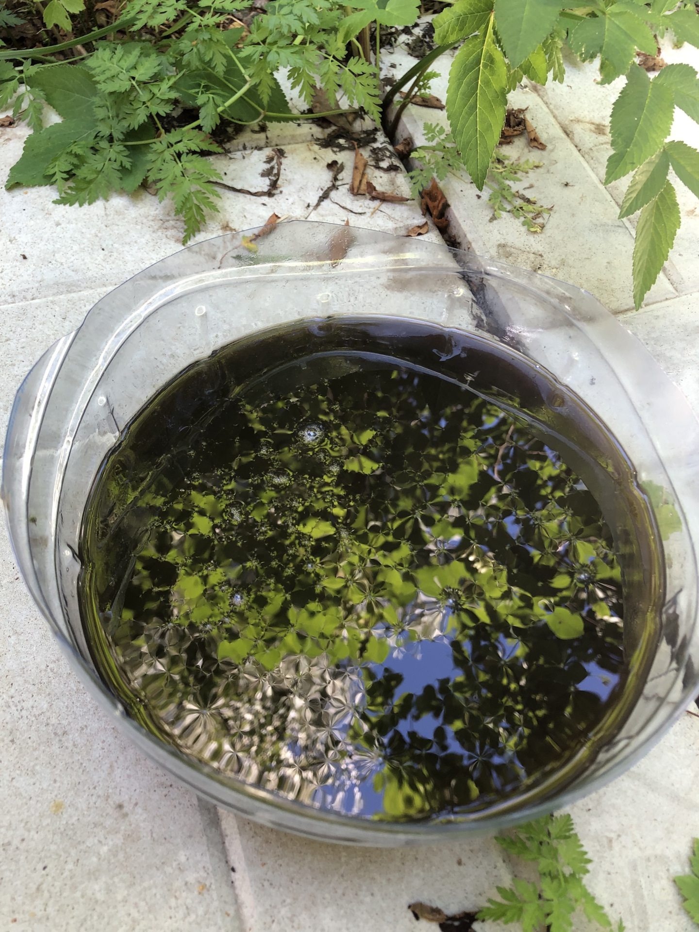 Замена масла в заднем мосту и редукторе — Toyota RAV4 (IV), 2 л, 2018 ...