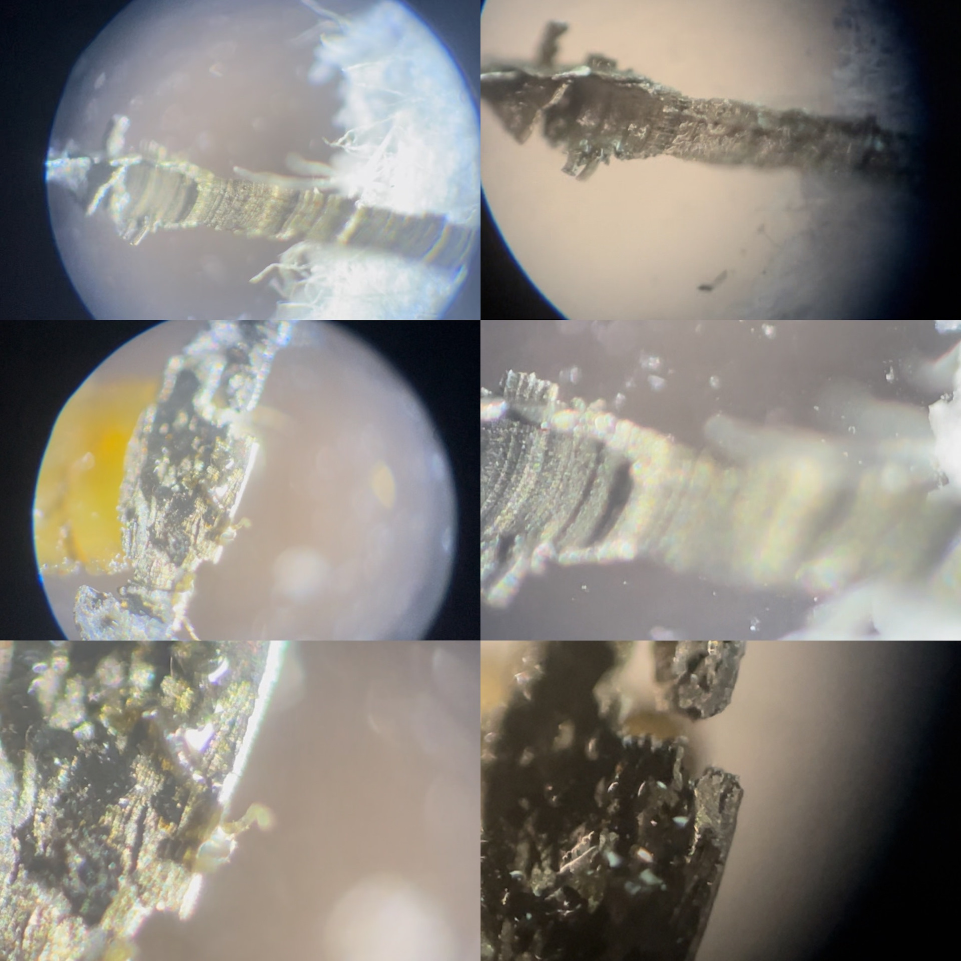 Стружка в масляном фильтре! Что это было?))) — BMW 3 series Touring ...