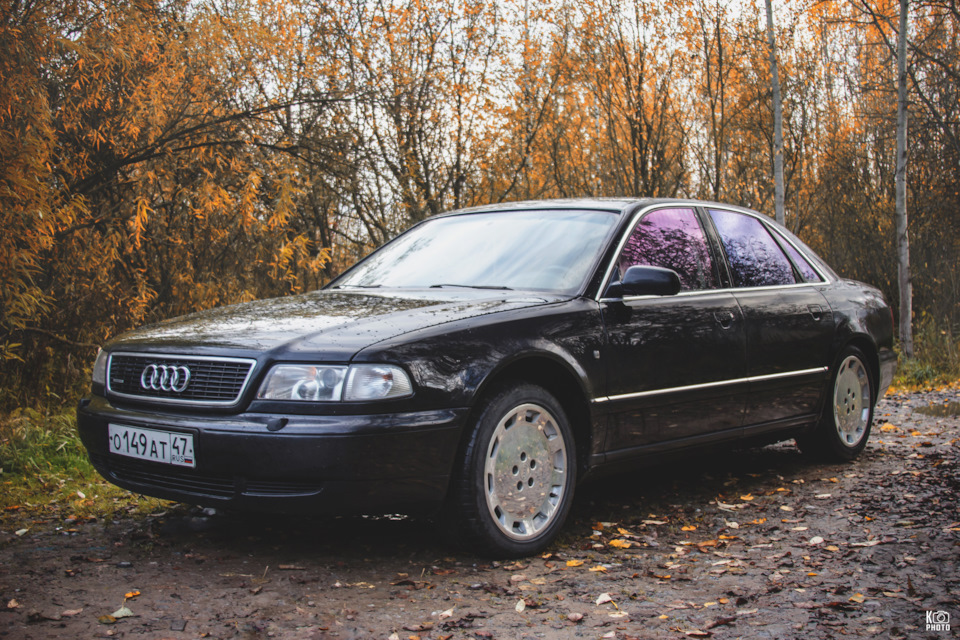 Фото в бортжурнале Audi A8 (D2)