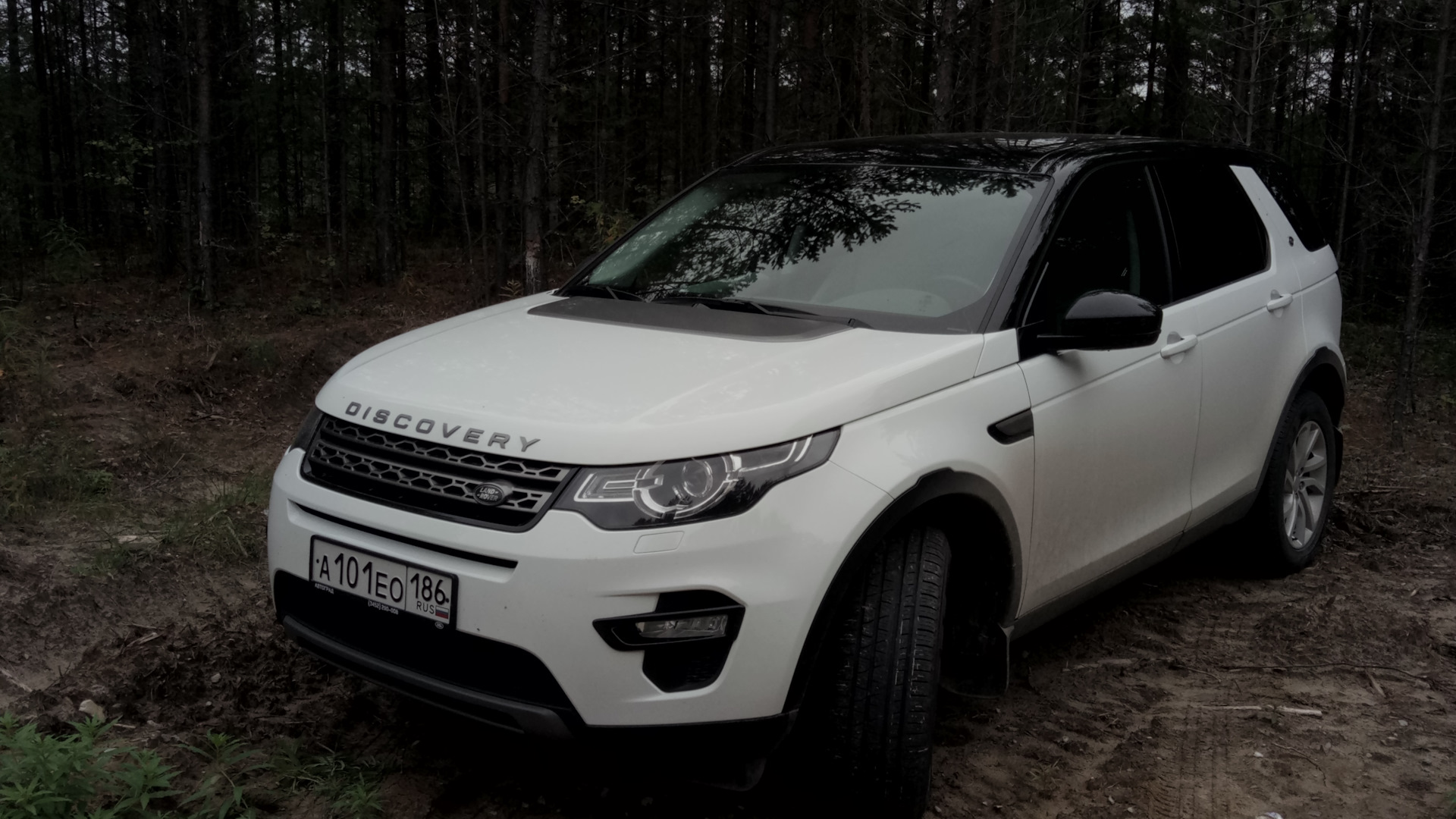 Land Rover Discovery Sport (1G) 2.0 дизельный 2017 | Special Edition на  DRIVE2