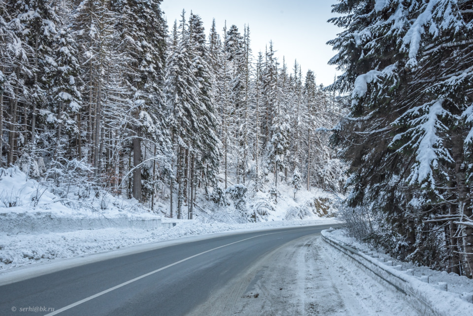 Фото в бортжурнале Volkswagen Tiguan (2G)