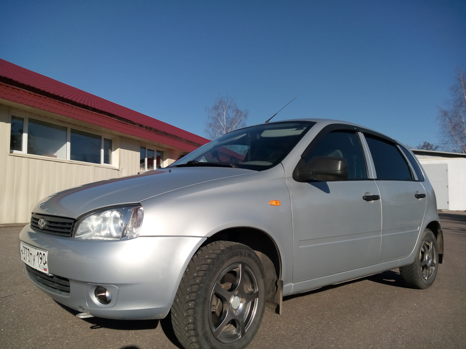 Калина-игрушка — DRIVE2