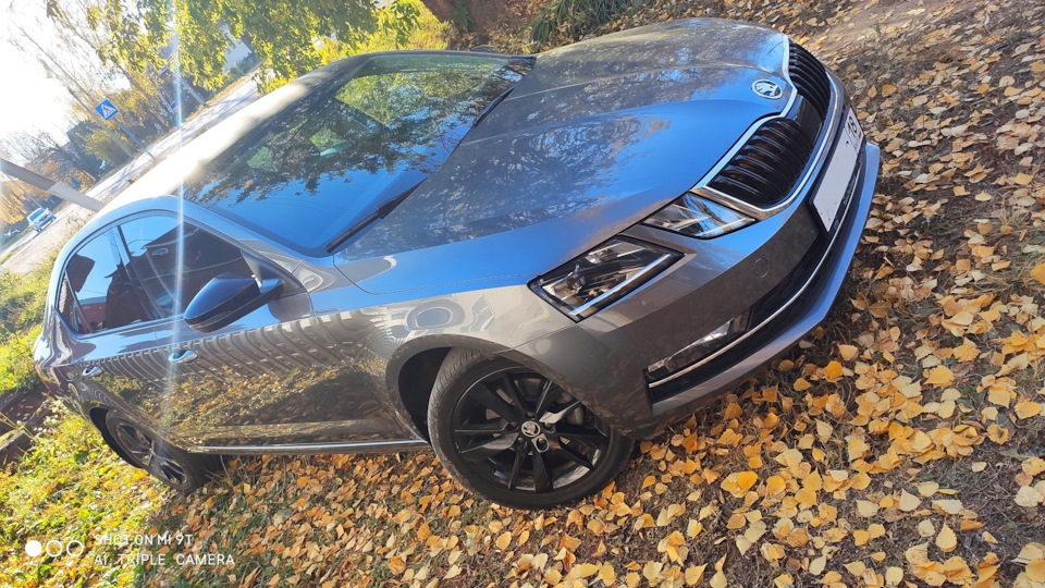 #3 Установка передних брызговиков — Skoda Octavia A7 Mk3, 1,4 л, 2019 ...