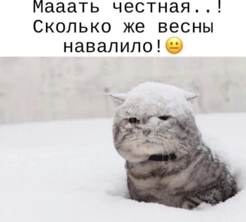 Y7_Lclum533IHibWg6URXx4ypXU-480.jpg