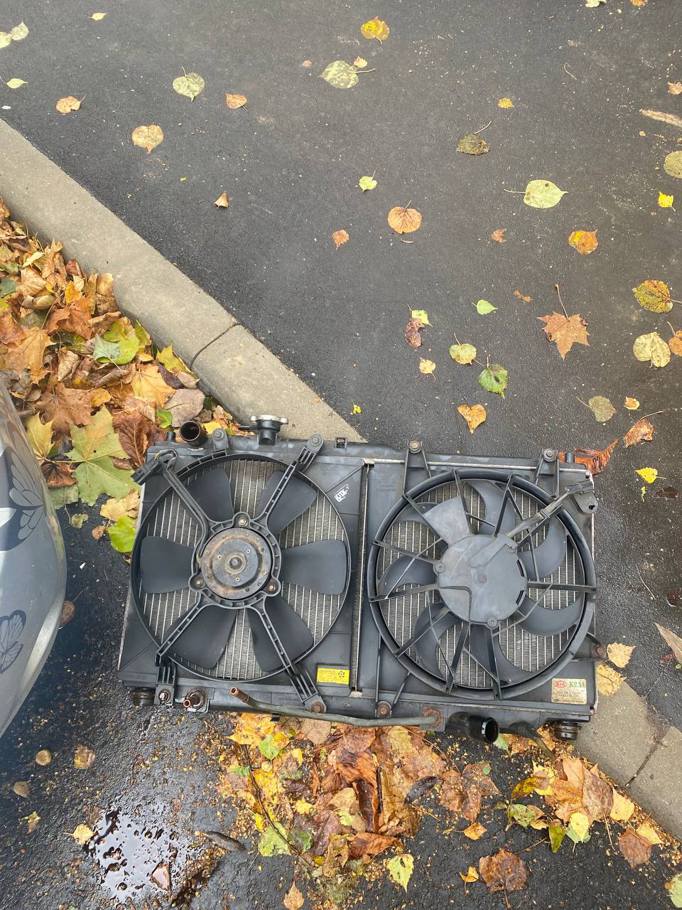 Зимой будет 6. Зимнее небо фото. Вид из окна зима. Катынь зимой смоленск. Москвич зимой.