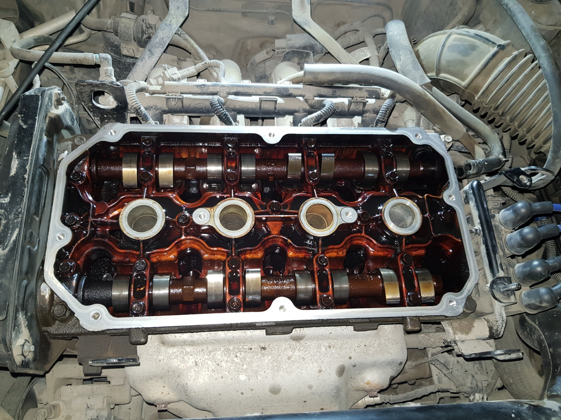 Замена прокладки клапанной крышки. — KIA Spectra, 1,6 л, 2008 года ...