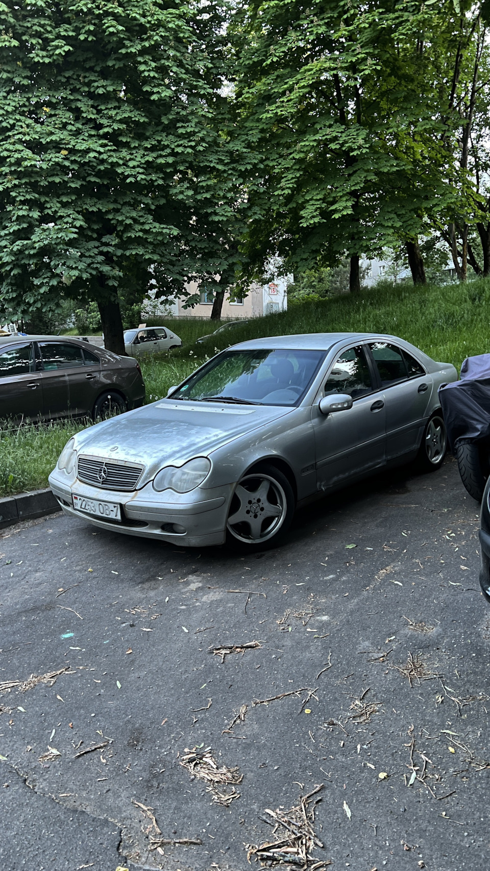 Виш лист или детский металлический конструктор — Mercedes-Benz C-class  (W203), 2 л, 2002 года | просто так | DRIVE2