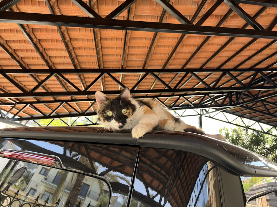 Куда делись Авто новости? — DRIVE2