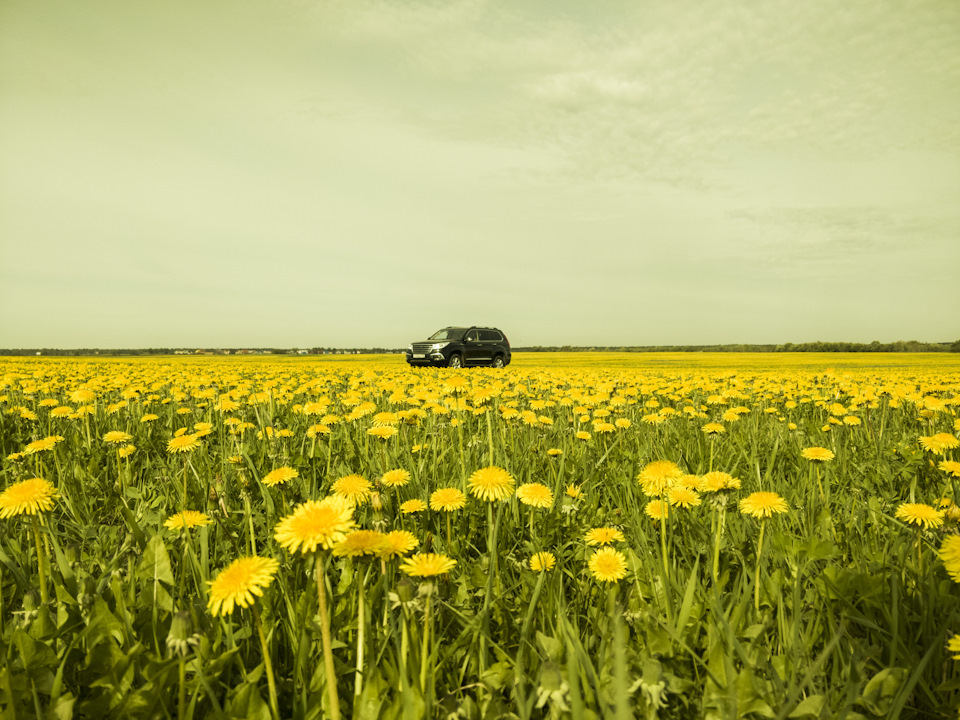 Ролик натяжителя обводного ремня ГУР и АС — Toyota Corolla (110), 2 л ...