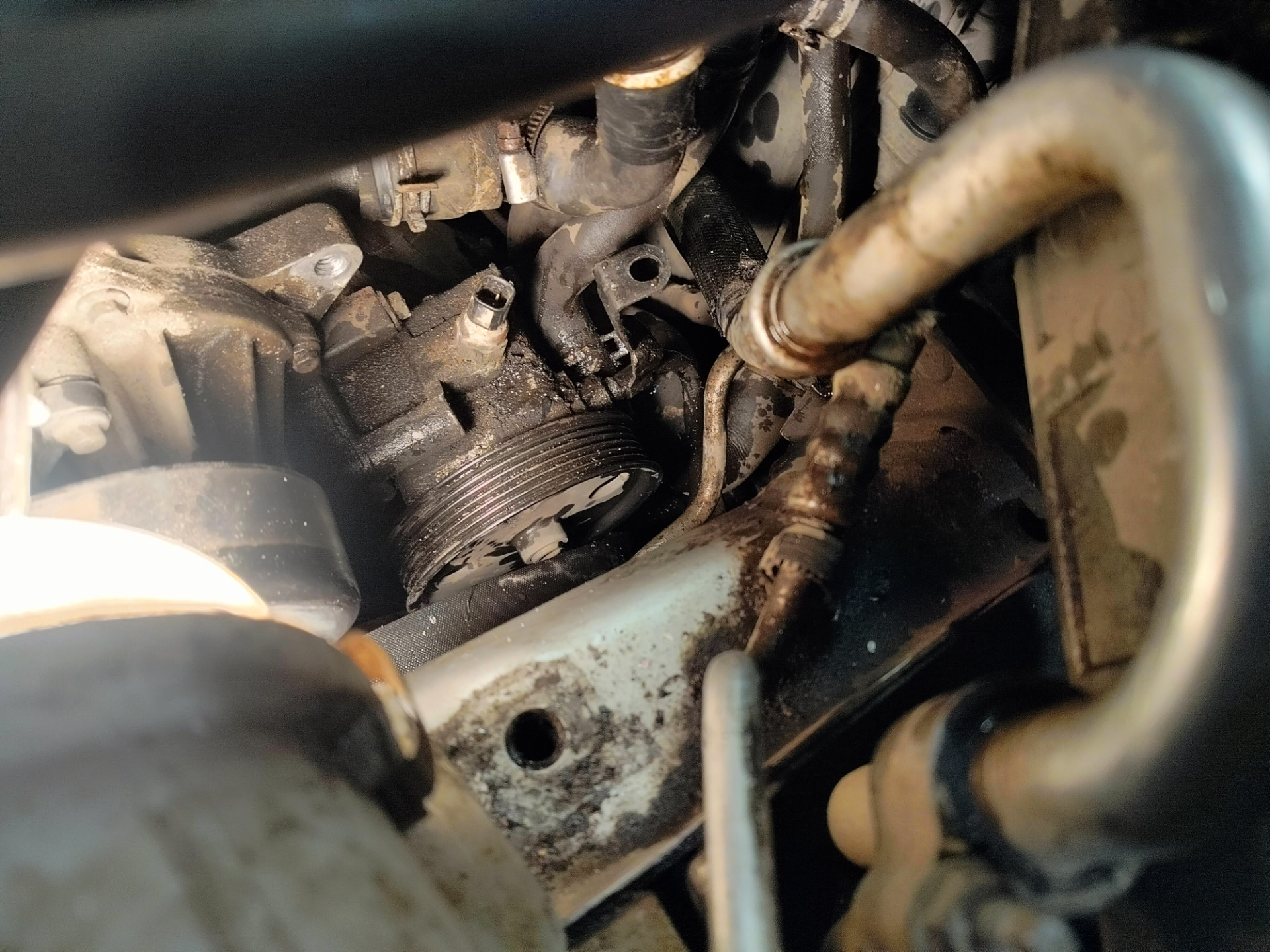 Жидкость ГУР? — Ford Focus II Sedan, 1,6 л, 2009 года | расходники | DRIVE2