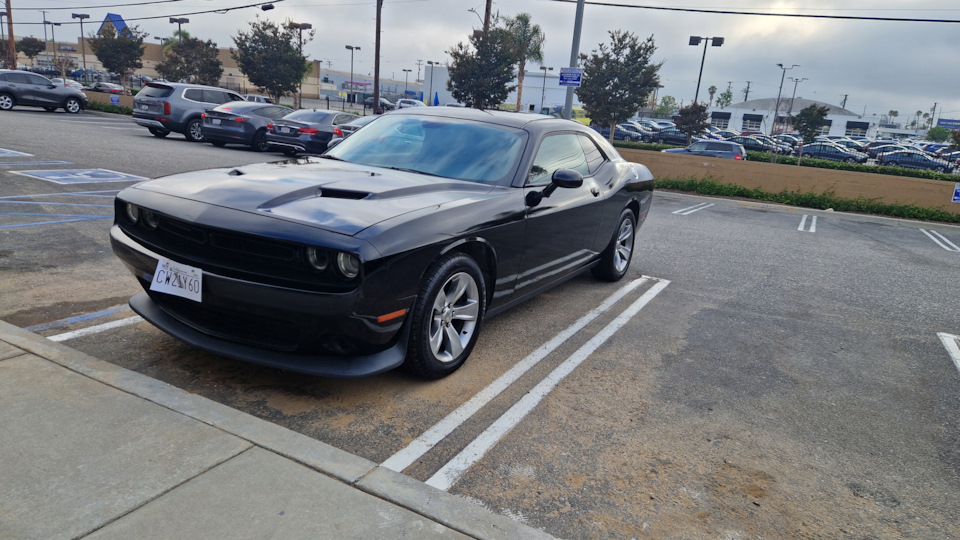 Dodge challenger отзывы