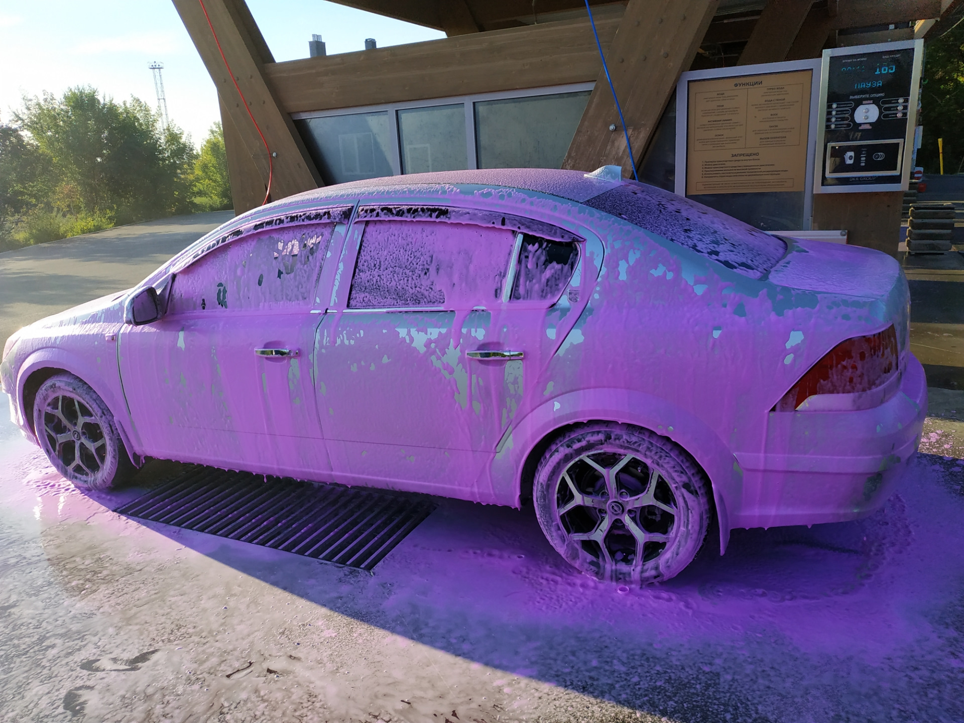 Фотография «Чистота прежде всего ? youtube.com/shorts/W8Il-pcU5-k ...