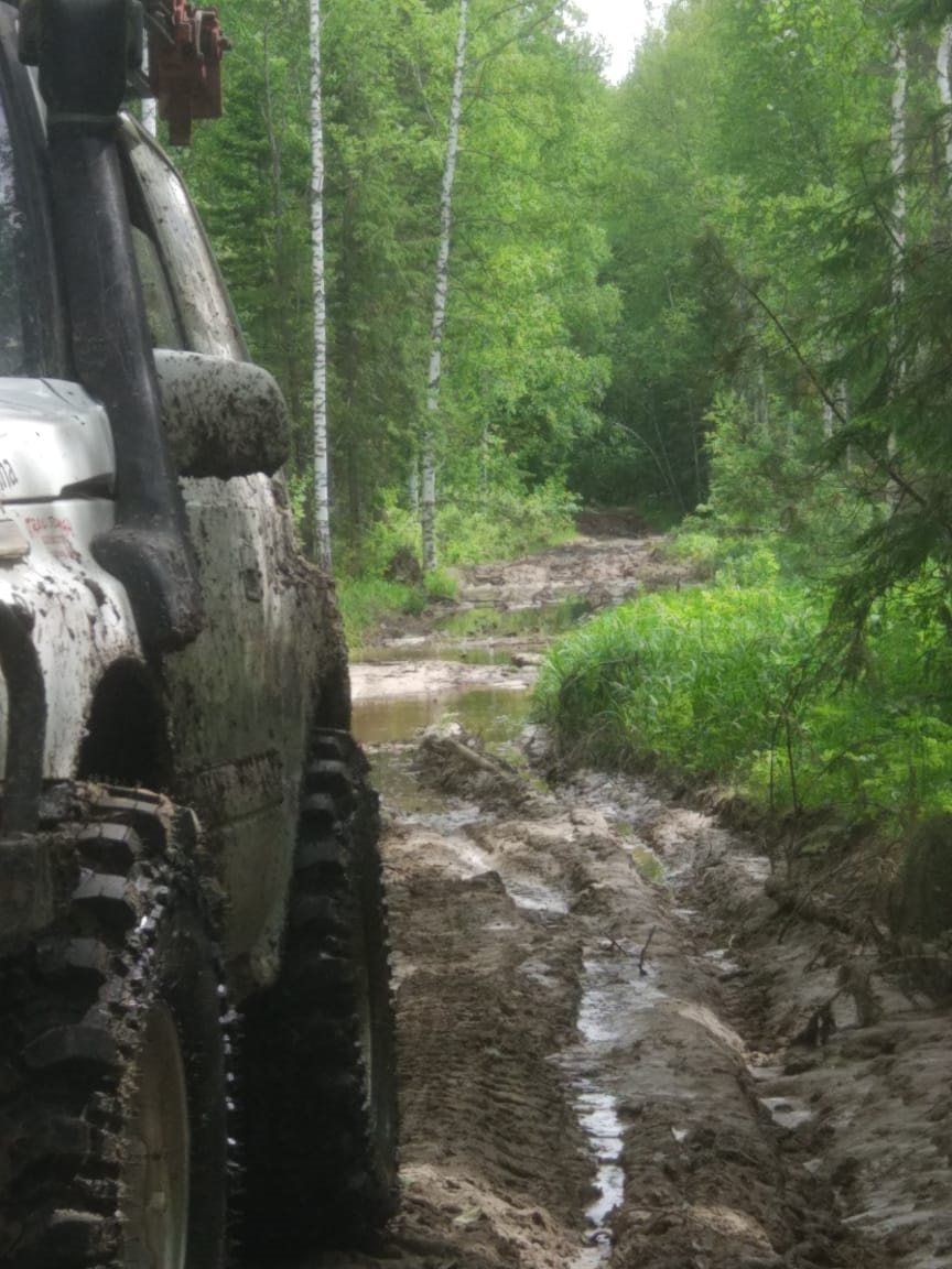 Фото в бортжурнале Suzuki Escudo (1G)