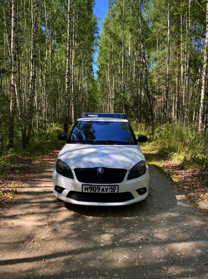 Намывашки после дачи, перед поездкой в Смоленск. — Skoda Fabia Mk2, 1,4 л,  2012 года | мойка | DRIVE2