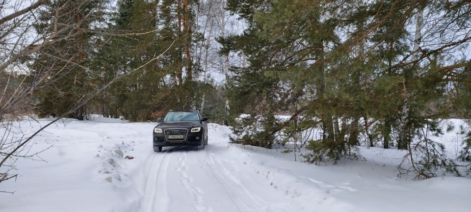 Фото в бортжурнале Audi Q5 (1G)