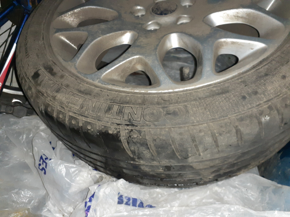 Фото в бортжурнале Ford Focus Wagon II