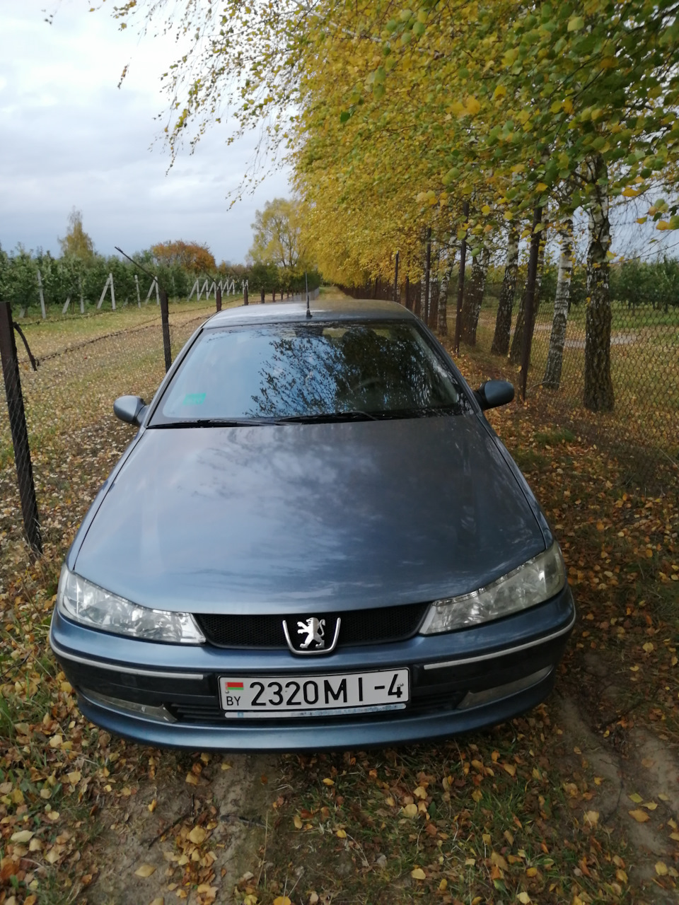 Променял льва на трёхлучевой круг — Peugeot 406, 1,8 л, 2002 года | продажа  машины | DRIVE2