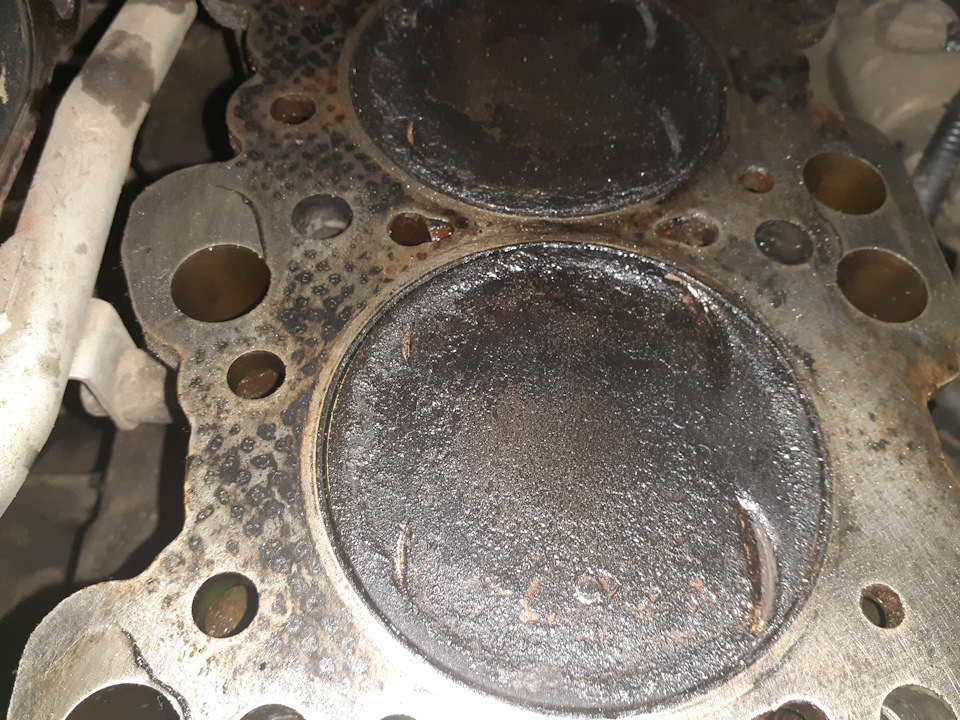 Ховер обрыв ремня грм. Ховер н5 грм. 4 бензин прогорели клапана. Ремень грм грейт вол ховер н5 2,4. Ховер н3 грм.