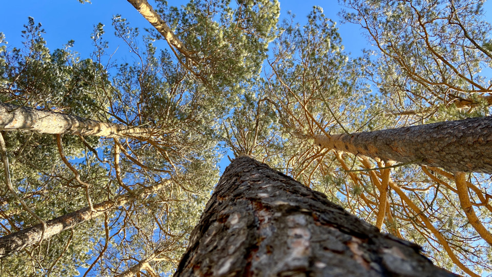 Фото в бортжурнале Honda CR-V (RD4/RD5/RD6/RD7)