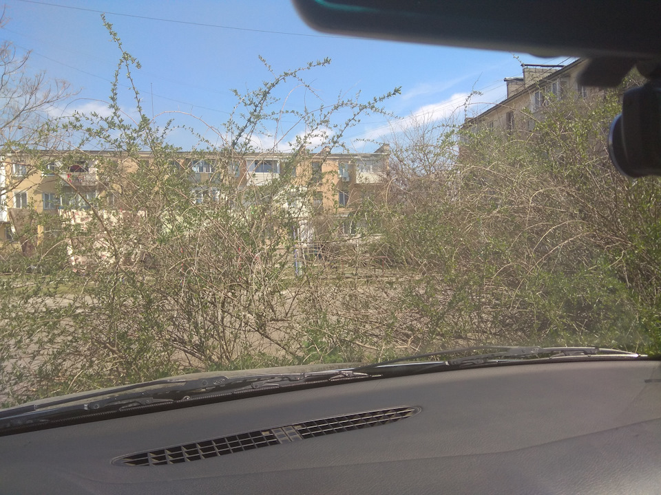 Полировка стекла оксидом церия — Skoda Octavia A4 Mk1, 1,4 л, 2005 года ...