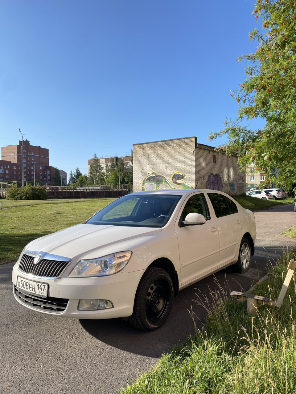 Занижение.Технорессор -50 — Skoda Octavia A5 Mk2, 1,8 л, 2012 года | тюнинг  | DRIVE2