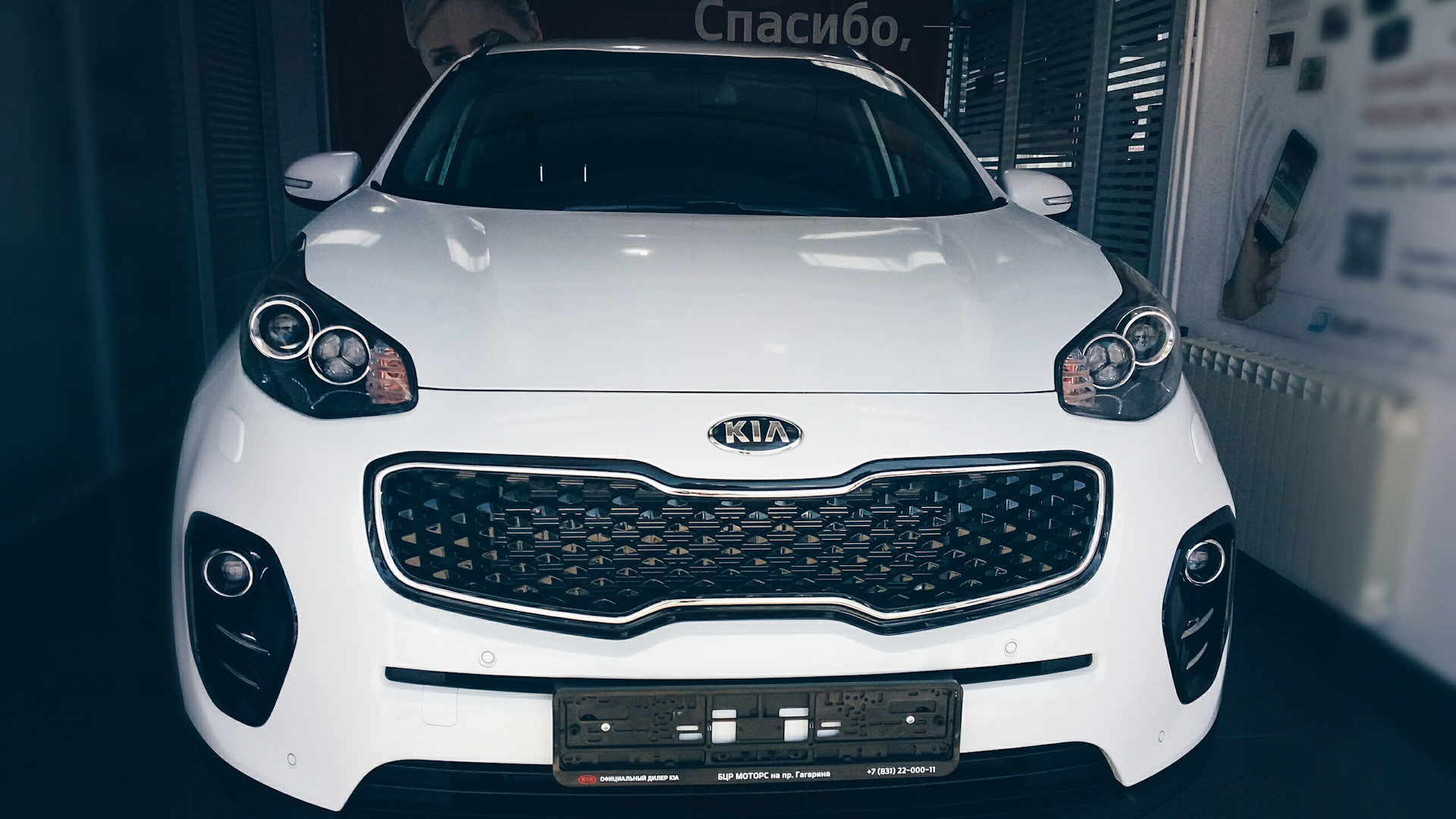 KIA Sportage (4G) 2.0 бензиновый 2018 | Б е л ы й П р е с т и ж на DRIVE2