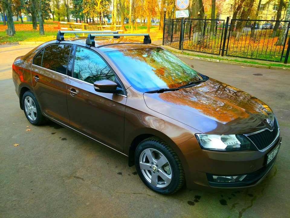 Рейлинг skoda rapid