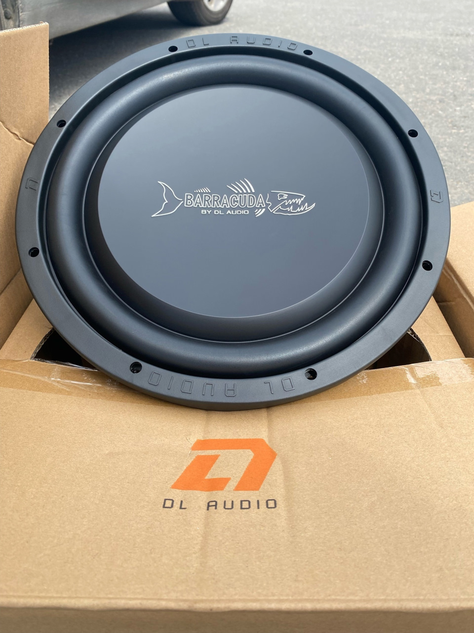 Dl barracuda 12 flat. DL Audio Barracuda 8a сабвуфер. Барракуда 12а Флат. DL Audio Barracuda 8 Flat. Сабвуфер Барракуда Флат 12 характеристики.