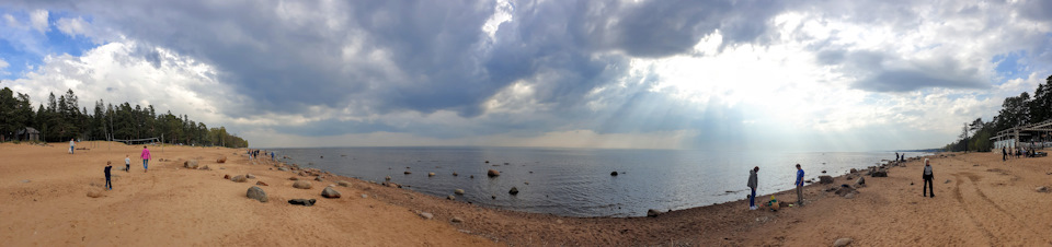 Фото в бортжурнале Audi A4 (B9)