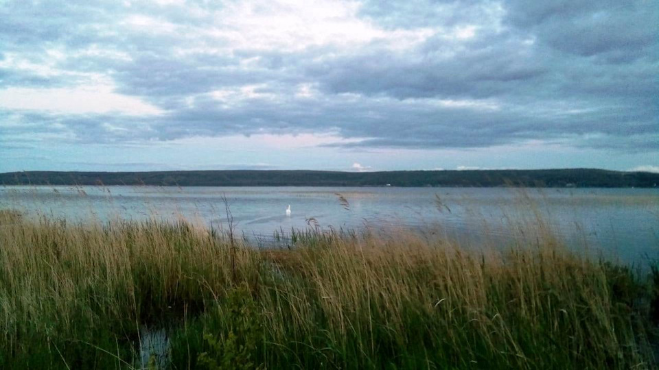 какая рыба водится в озере кандрыкуль башкирии. Смотреть фото какая рыба водится в озере кандрыкуль башкирии. Смотреть картинку какая рыба водится в озере кандрыкуль башкирии. Картинка про какая рыба водится в озере кандрыкуль башкирии. Фото какая рыба водится в озере кандрыкуль башкирии