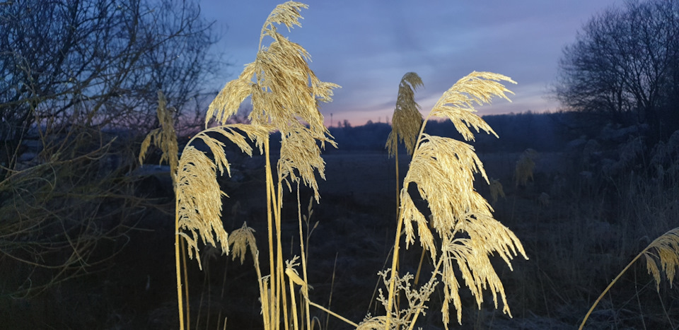 Фото в бортжурнале Mitsubishi Pajero Sport (2G)