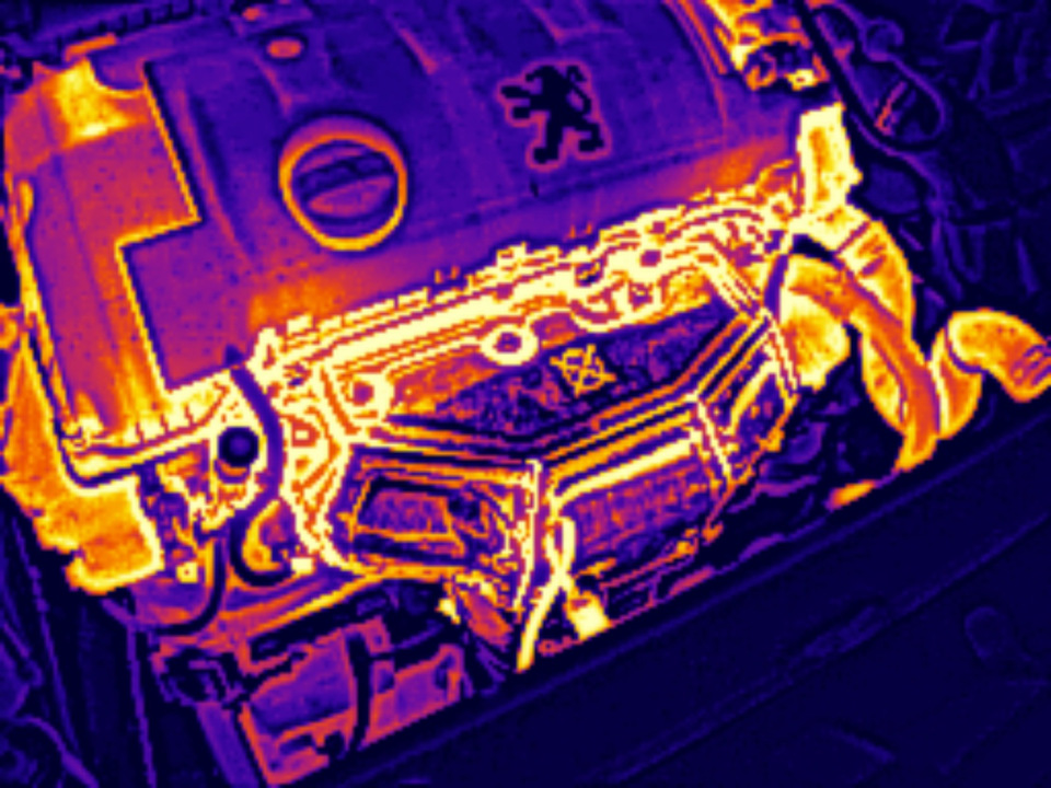 Peugeot 308 (1G) modelinin kayıt defterindeki fotoğraf.