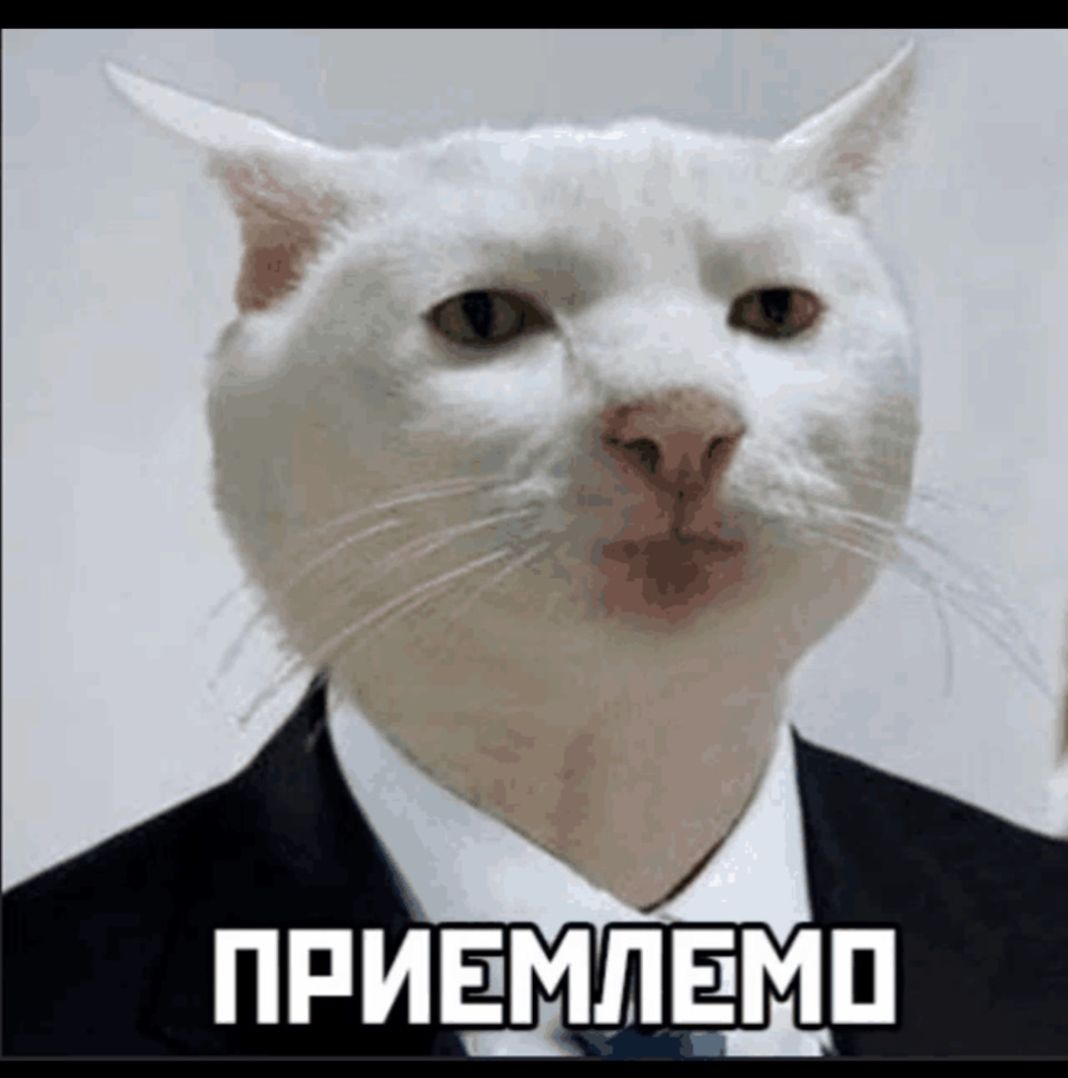 Приемлемо мем кот