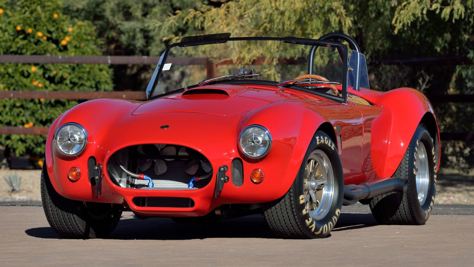 Shelby Cobra 5 0