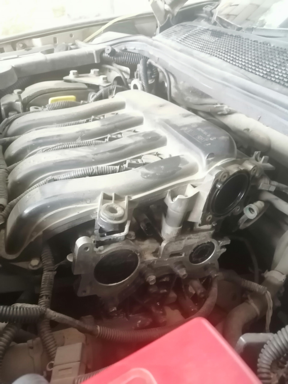 Сальники распредвалов — Renault Megane II, 1,6 л, 2006 года | плановое ...