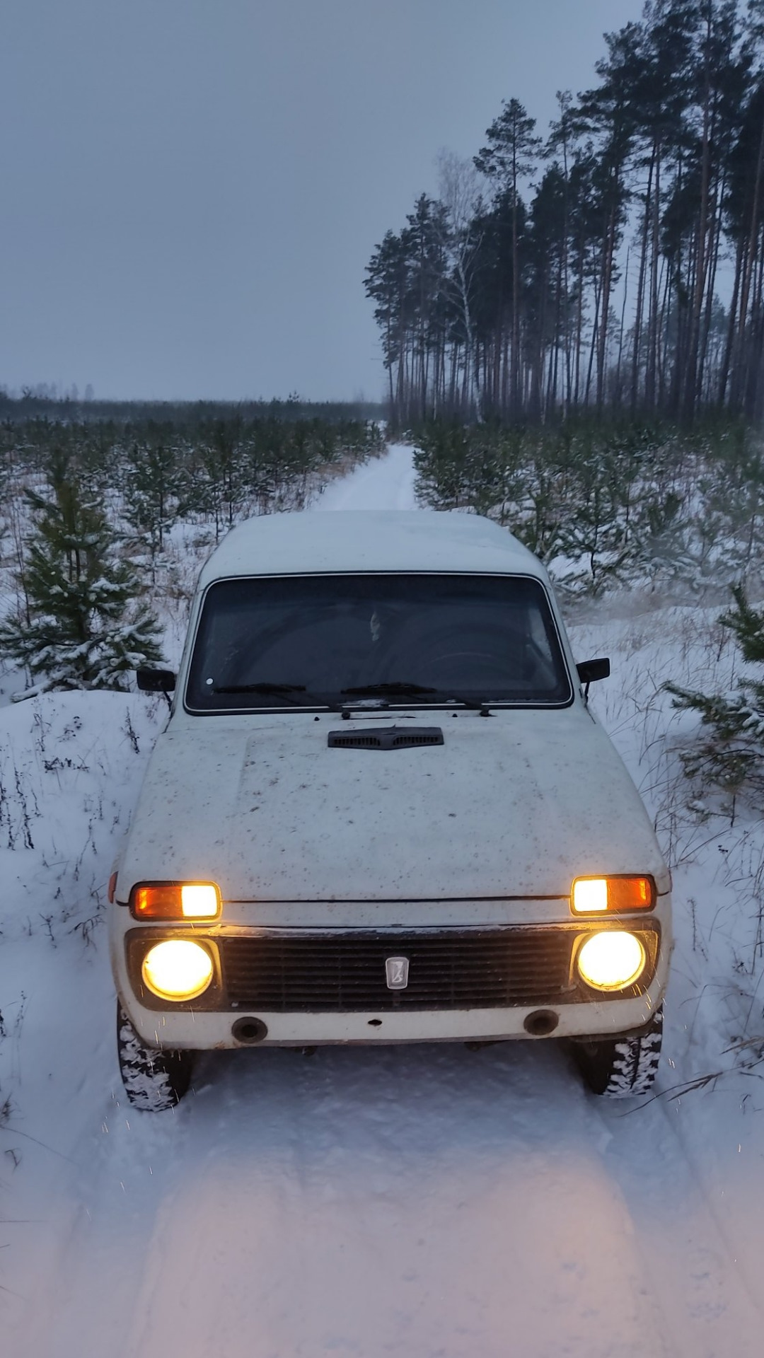 Ищу Вли 5 — Lada 4x4 3D, 1,6 л, 1986 года | шины | DRIVE2
