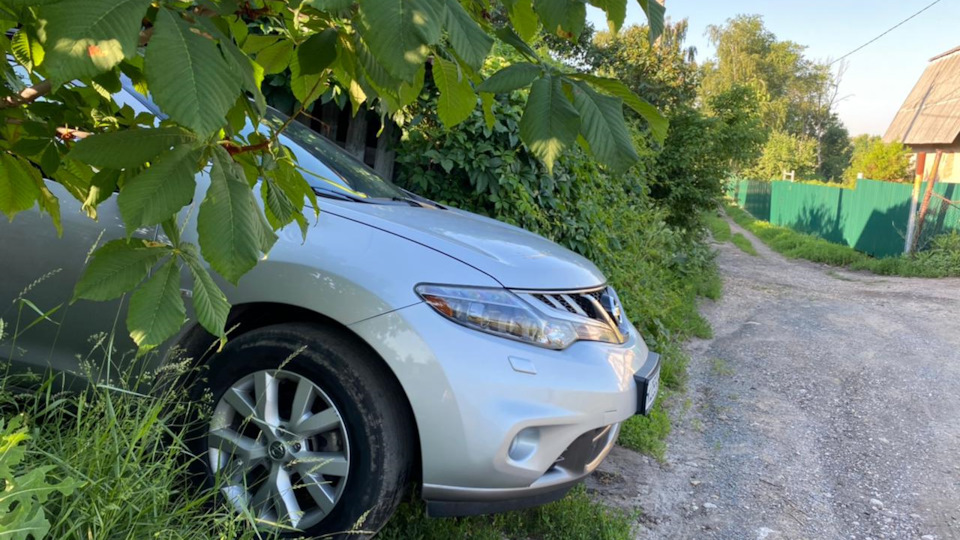 Nissan Murano II 3.5 бензиновый 2012 | Кабан на DRIVE2