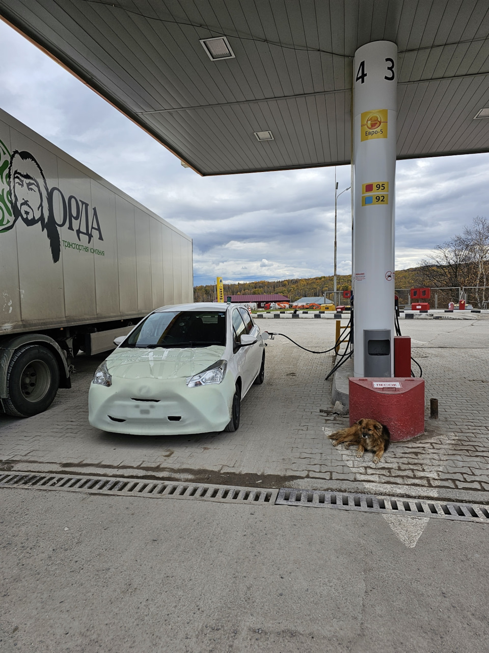 Перегон авто из Владивостока в Новосибирск — Toyota Vitz (130), 1 л, 2019  года | путешествие | DRIVE2