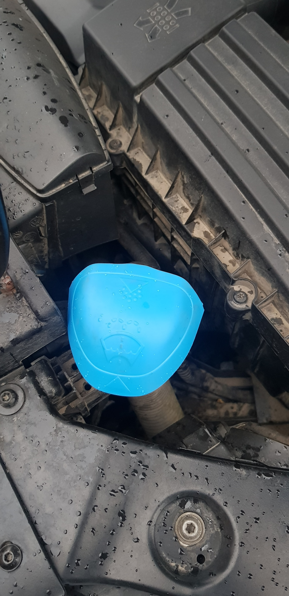 Синяя крышечка, новая рамка номерного знака, стикеры — Volkswagen ...