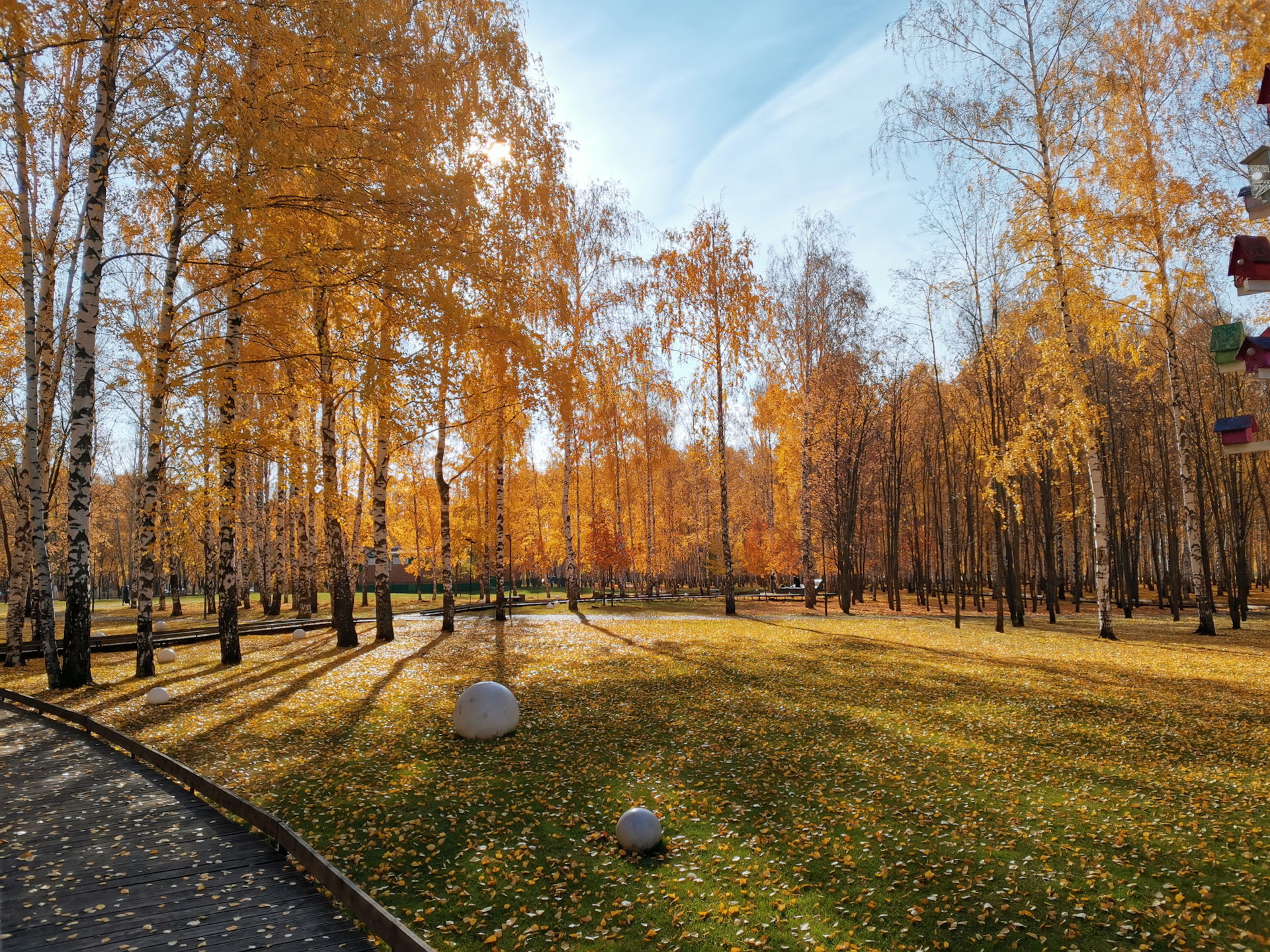 Осень осень лес остыл. Лес в Чебоксарах осенний. Осенний лес Подольск. Осенний лес ВДНХ. Осень лес остыл.