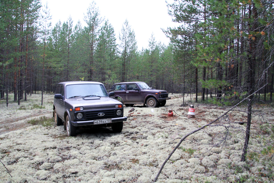 Пермь-Архангельск на нивах. Сентябрь 2022 года. — Lada 4x4 3D, 1,7 л ...