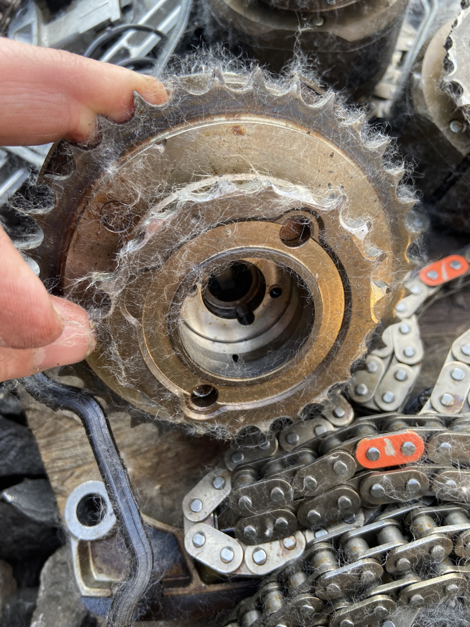 Замена грм на Лс 460 — Lexus LS (USF40/41), 4,6 л, 2008 года | своими ...