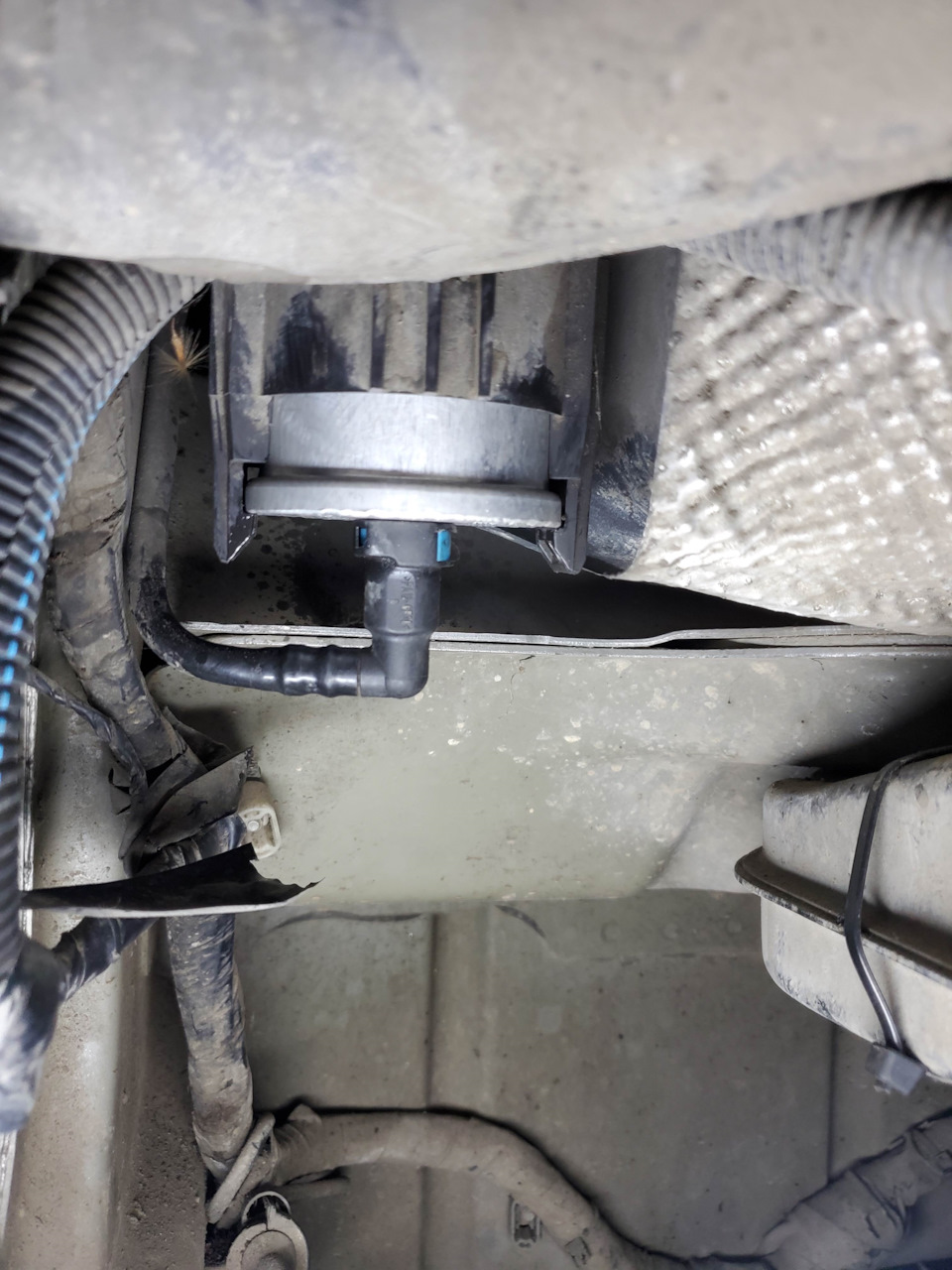 Замена топливного фильтра тонкой очистки. — Smart Roadster, 0,7 л, 2003 ...