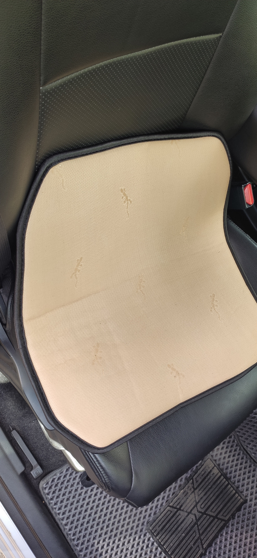 Накидка-массажер, чтобы что-то не потело — Suzuki Solio (3G), 1,2 л ...