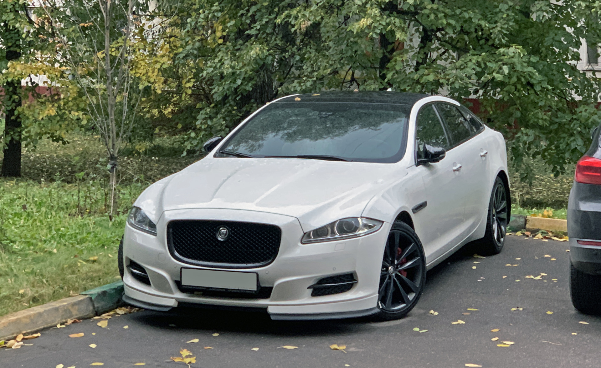 Ягуар XJ 351 белый