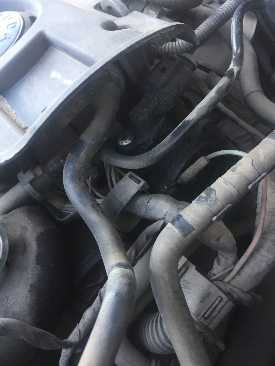 Просто фото:) — Geely MK, 1,5 л., 2013 года | фотография | DRIVE2